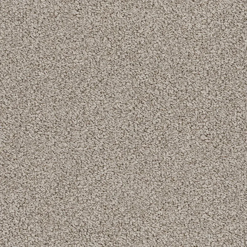 Bali ZZ037