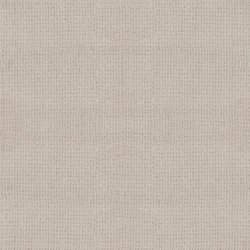 Lyric Broadloom Carpet in Sable, 12ft width, 100% PET material