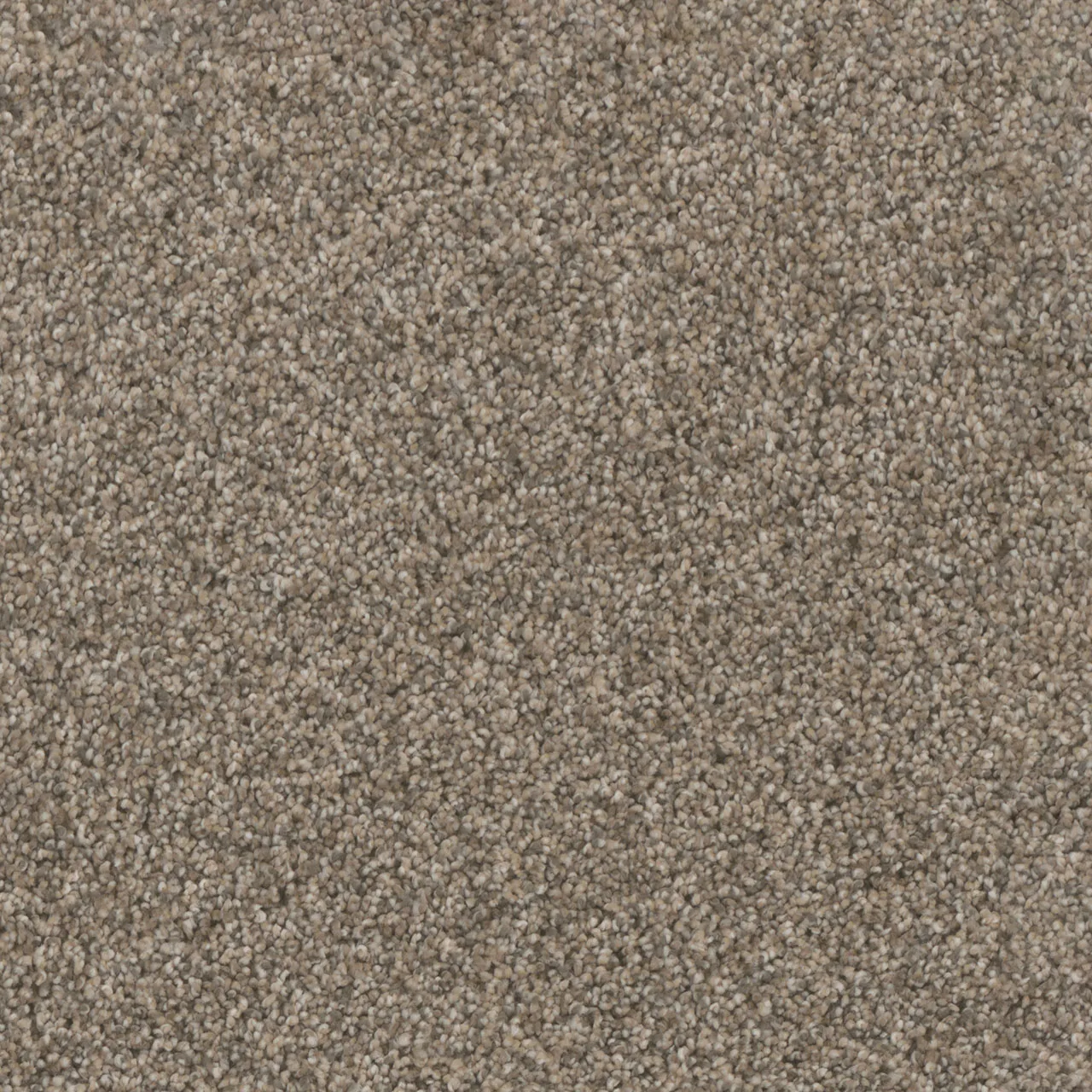 Trendsetter II 3655 Broadloom Carpet in Oxford color, woven polypropylene, 12ft wide
