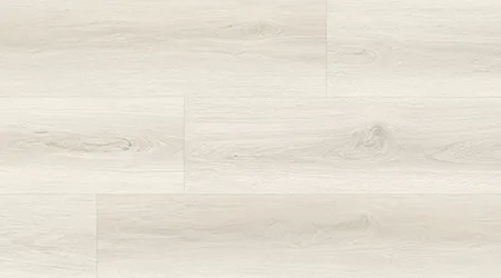 BC004