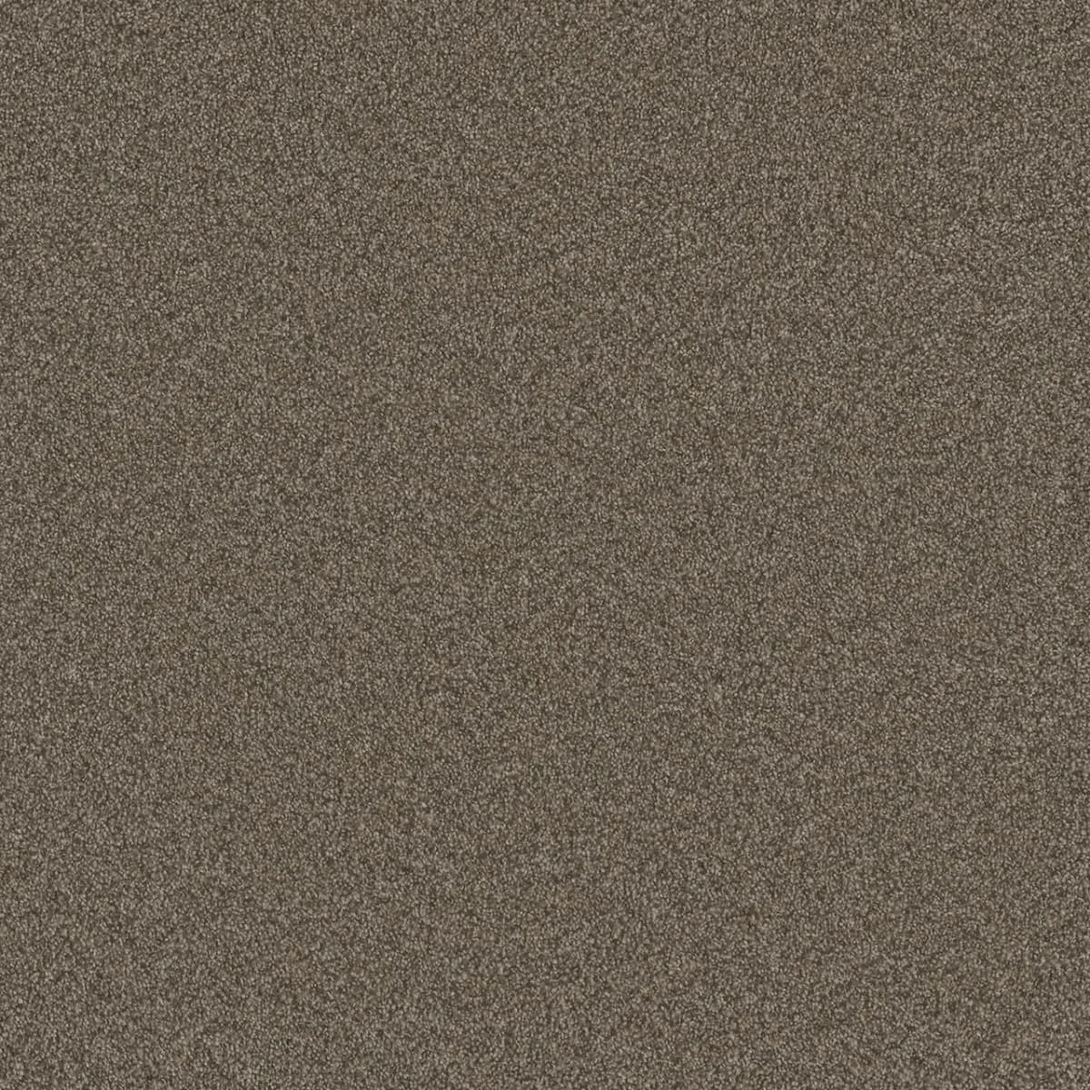Blazer III 6375 Broadloom Carpet in Casa Marina color, textured woven polypropylene material, 12ft wide