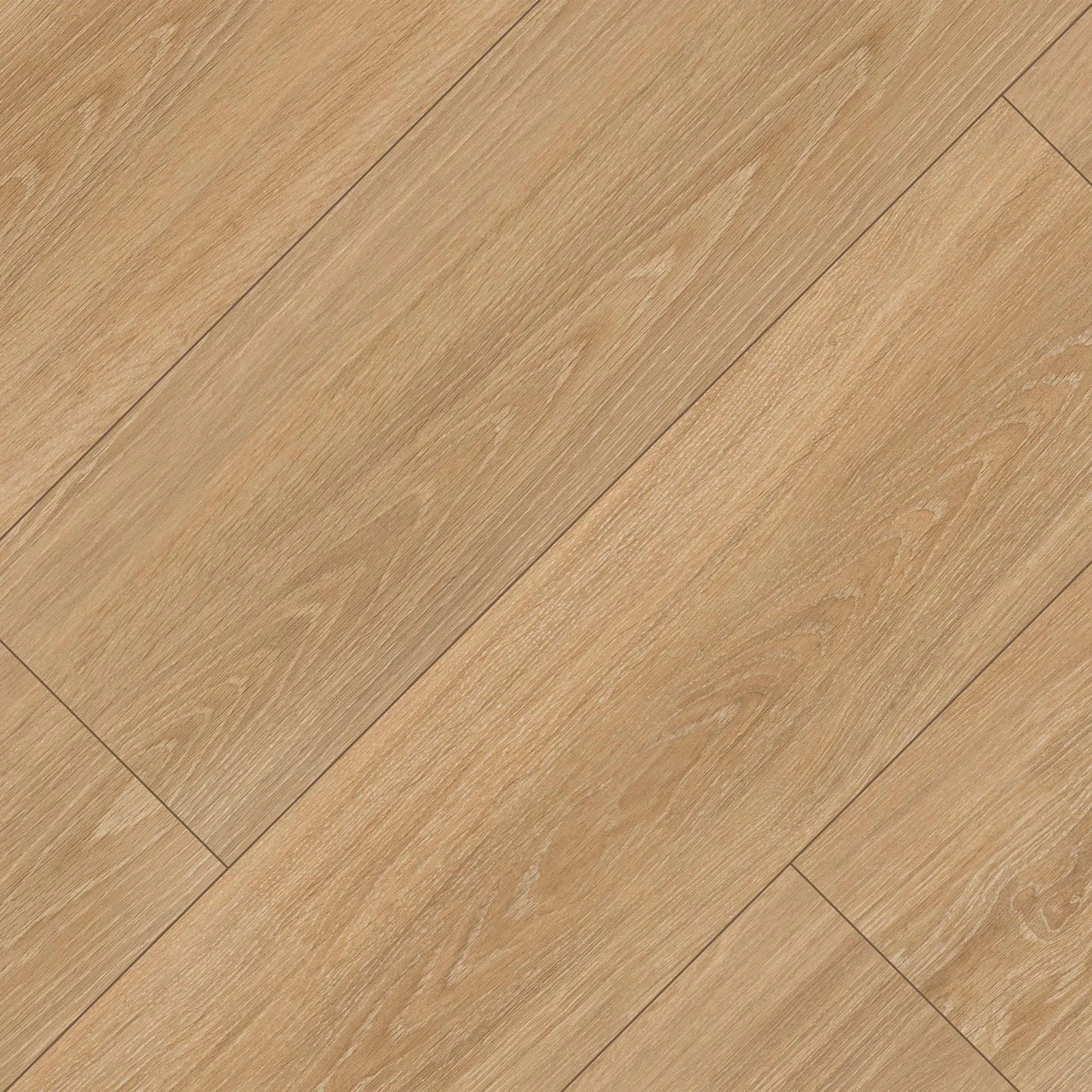 Placero Timber