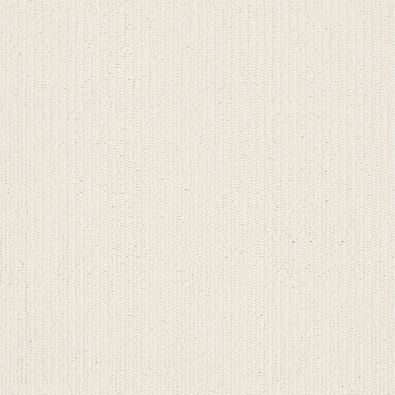 Dynasty Broadloom Carpet in Pavilion color, textured loop, 12ft width, made of 100% nylon.