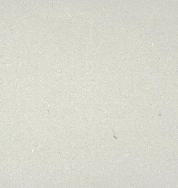 Fresh Concrete Quartz Countertop