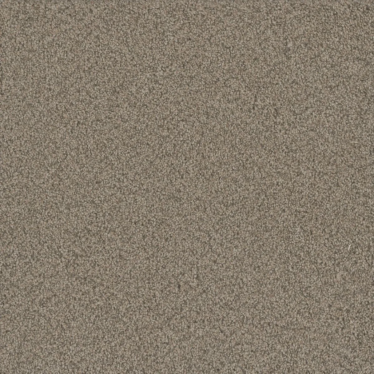 No Limits II 9346 Broadloom Carpet in Magnetic color, woven polypropylene material, 12ft wide