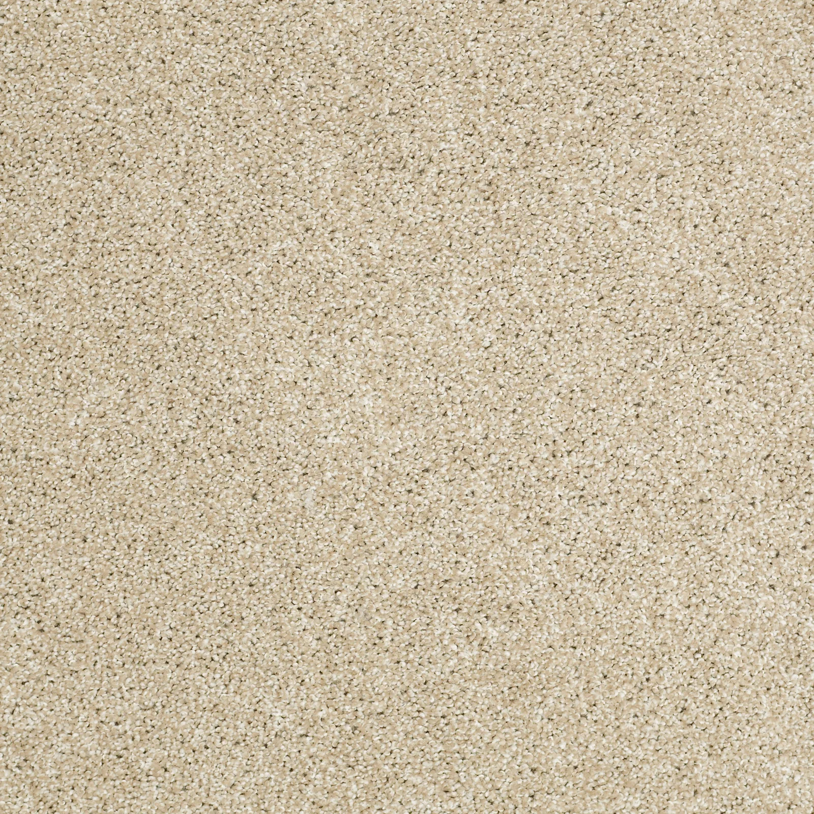 Picturesque Broadloom Carpet in Townhouse color, 12ft width, 100% Nylon material