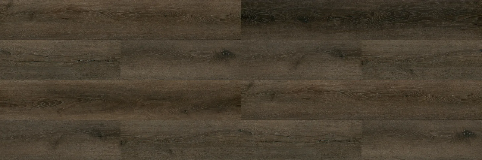 Paradigm Performer (Painted Bevel)