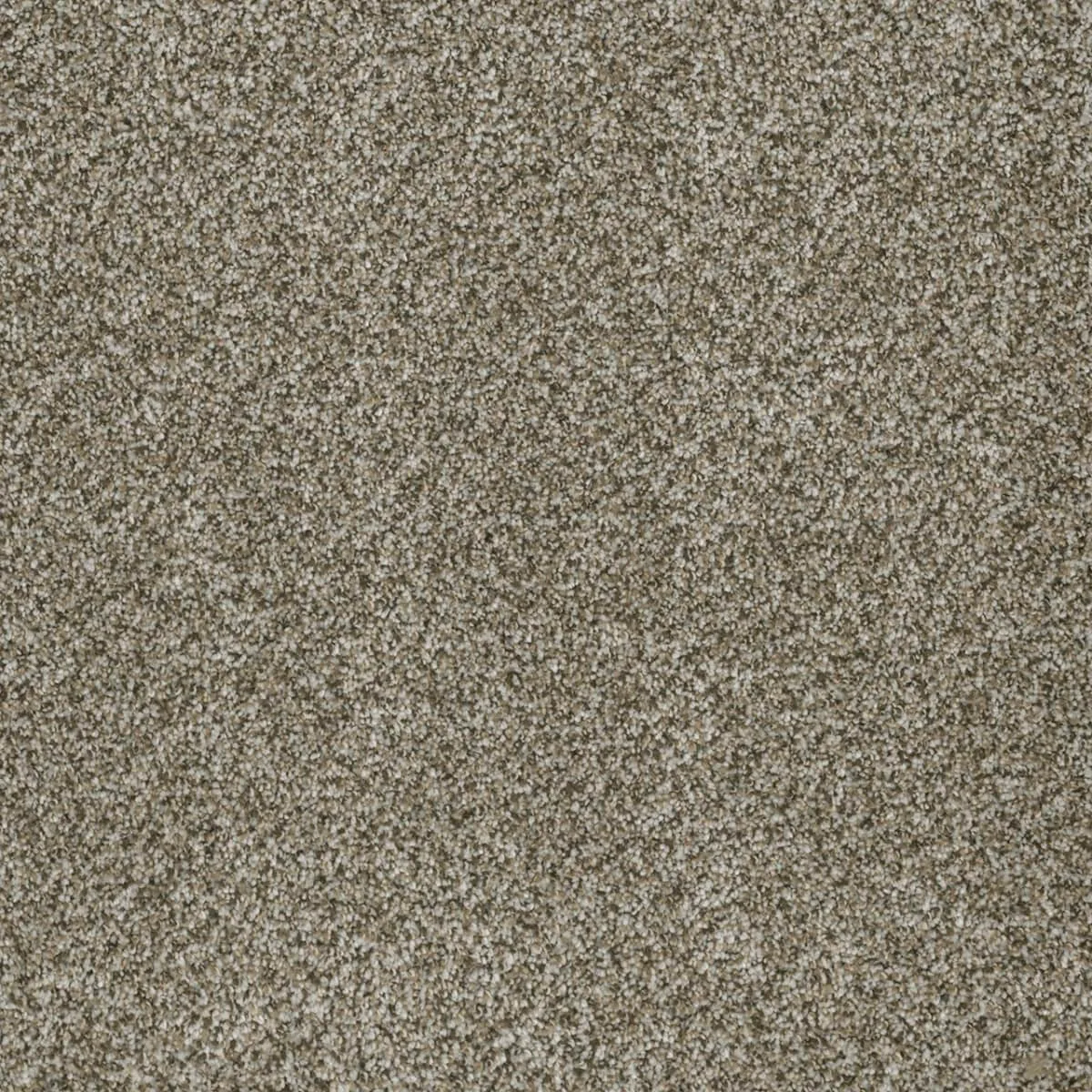 Brazen II 6260