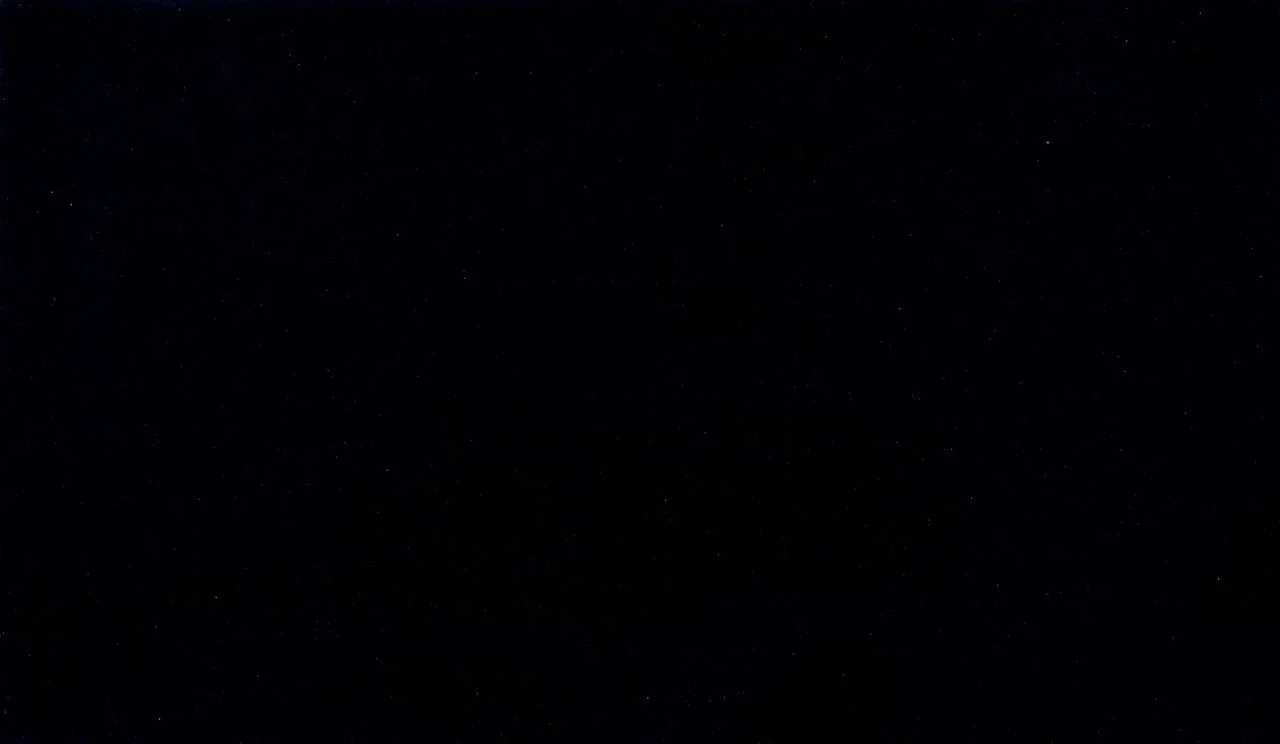 Daltile ONE Quartz - Stone Look Acadia Black