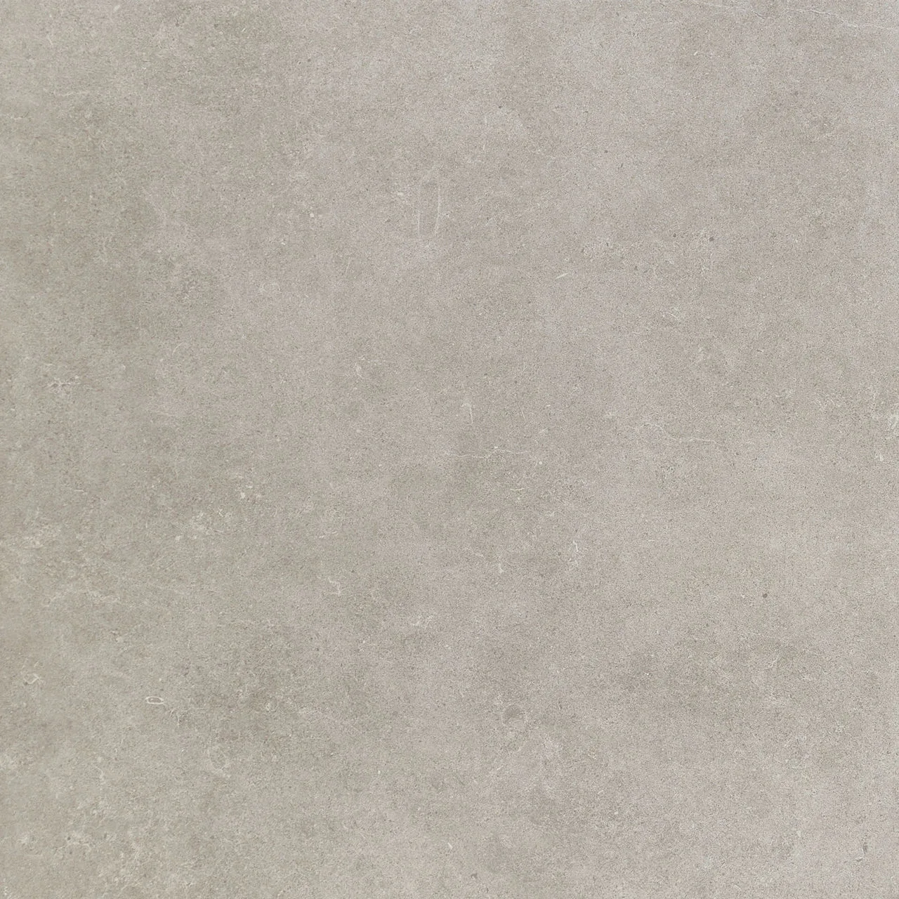 Daltile Haut Monde Elite Grey