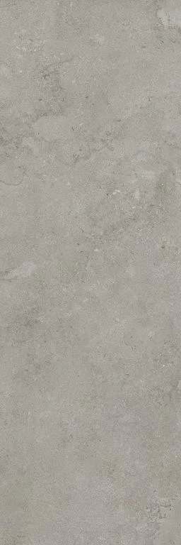 Fossil Cross Cut
