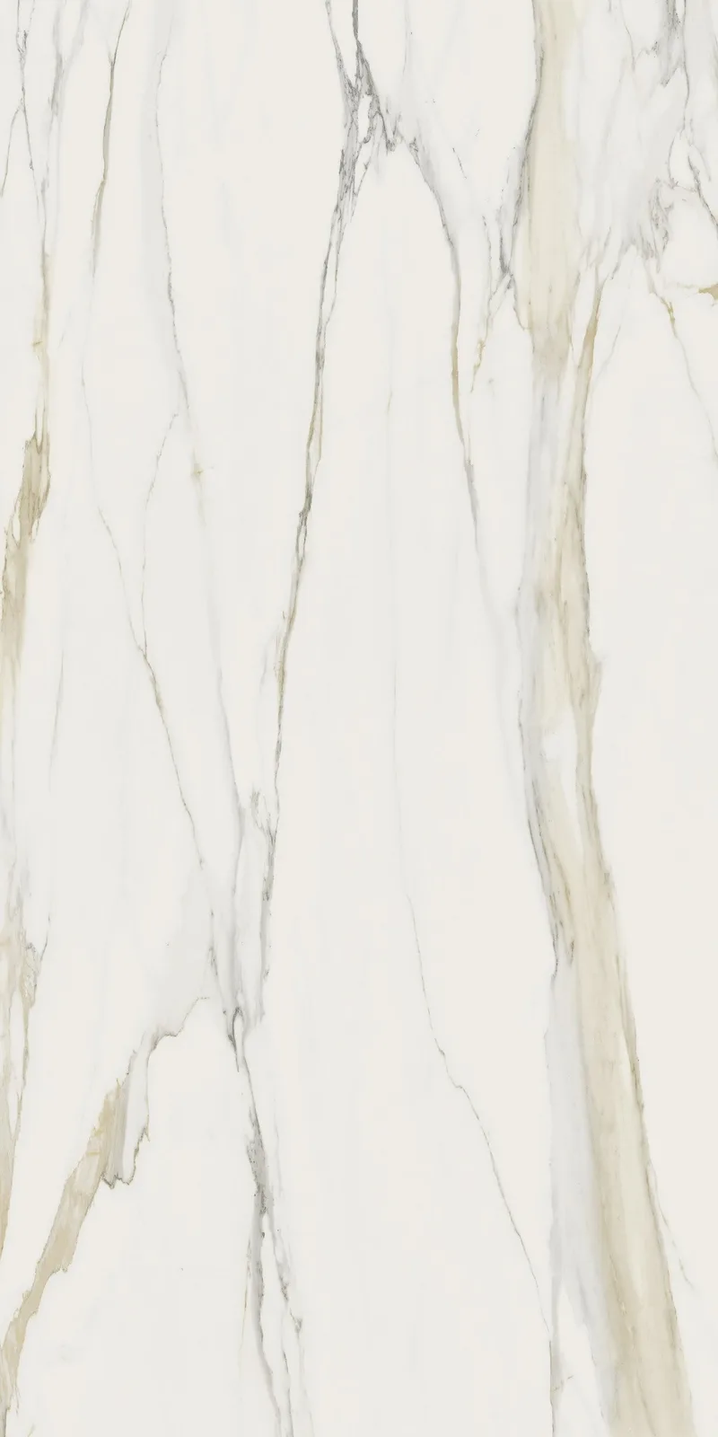 Calacatta Gold