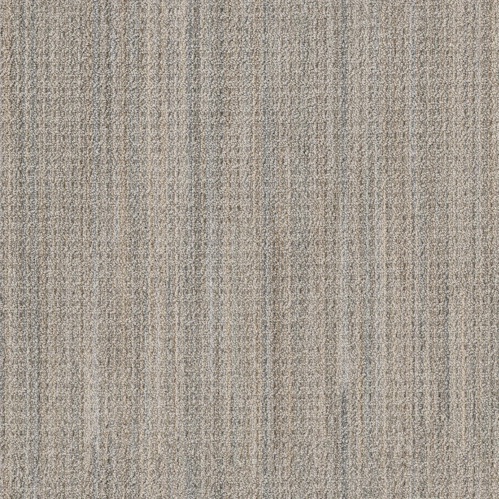 Sundance Broadloom Carpet in Modern Ivory, 100% Nylon, 12ft width, Pattern Loop construction