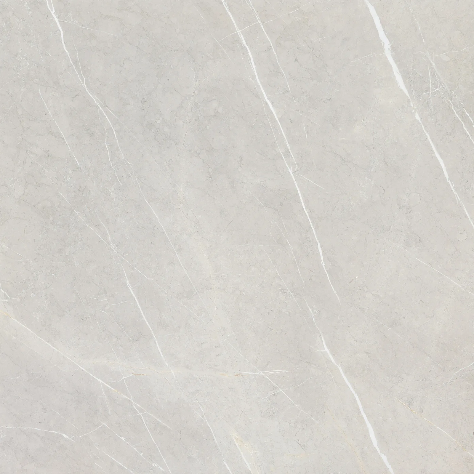 Pietra Grey