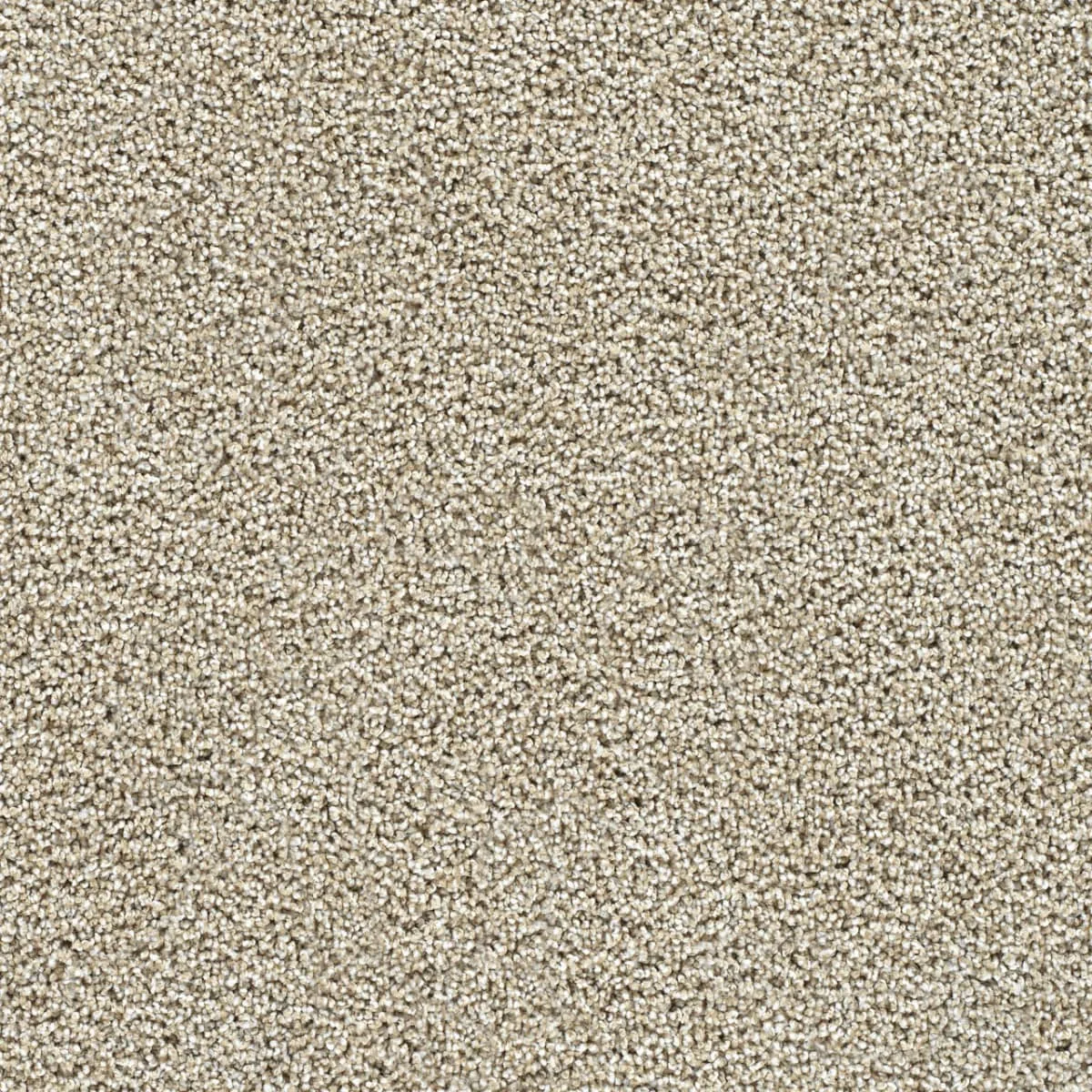 Captivating I 1225 Broadloom Carpet in Gingerbread color, woven polypropylene material, 12ft wide