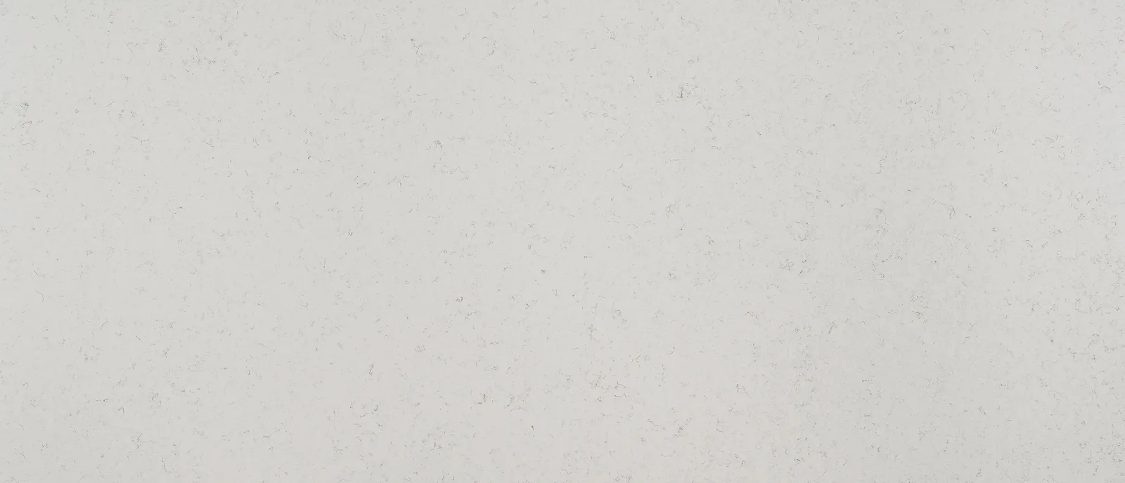 Q Premium Natural Quartz Blanca Statuarietto 2 Cm