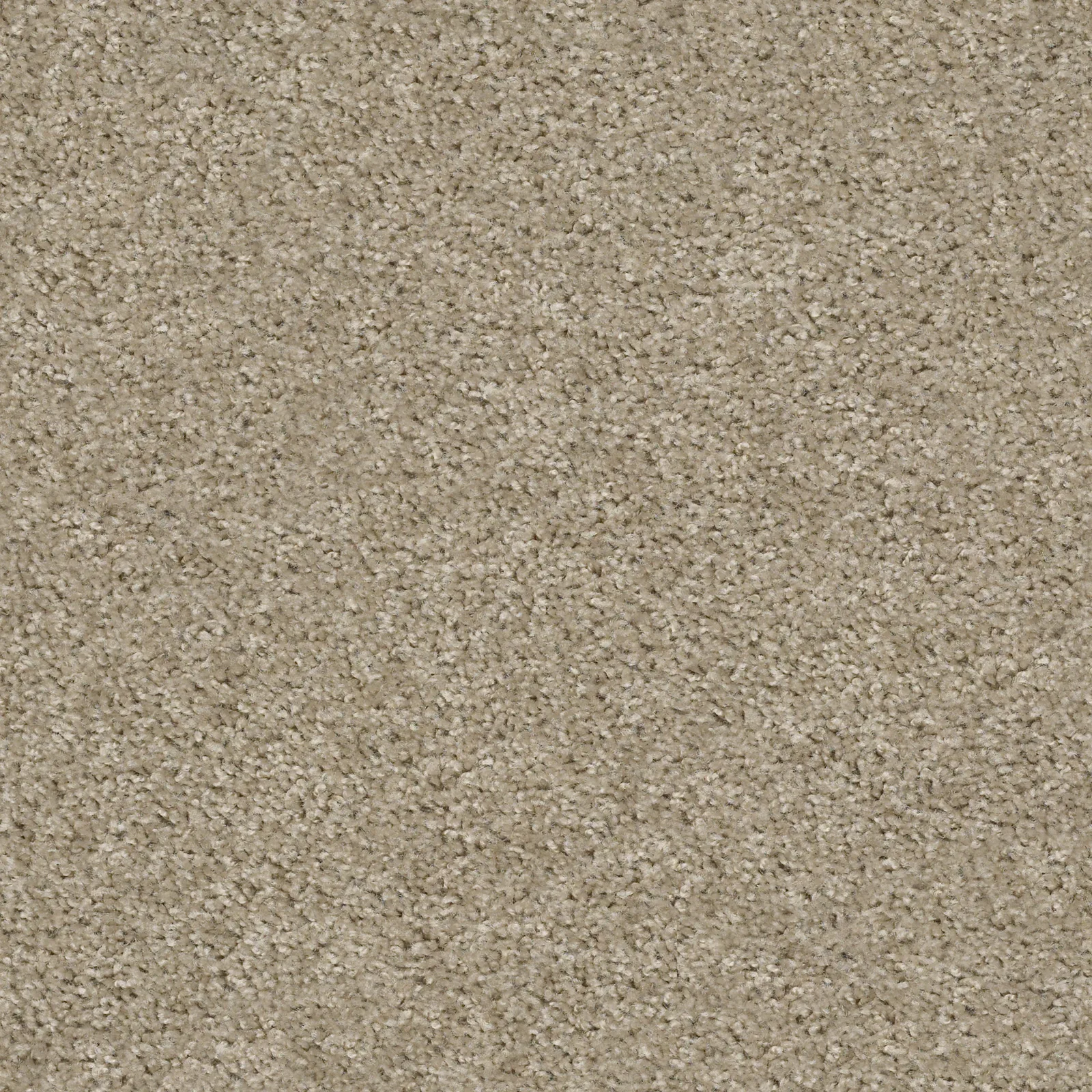 Max Appeal Broadloom Carpet in Amazing Greige, 100% Nylon, 12ft width, residential use
