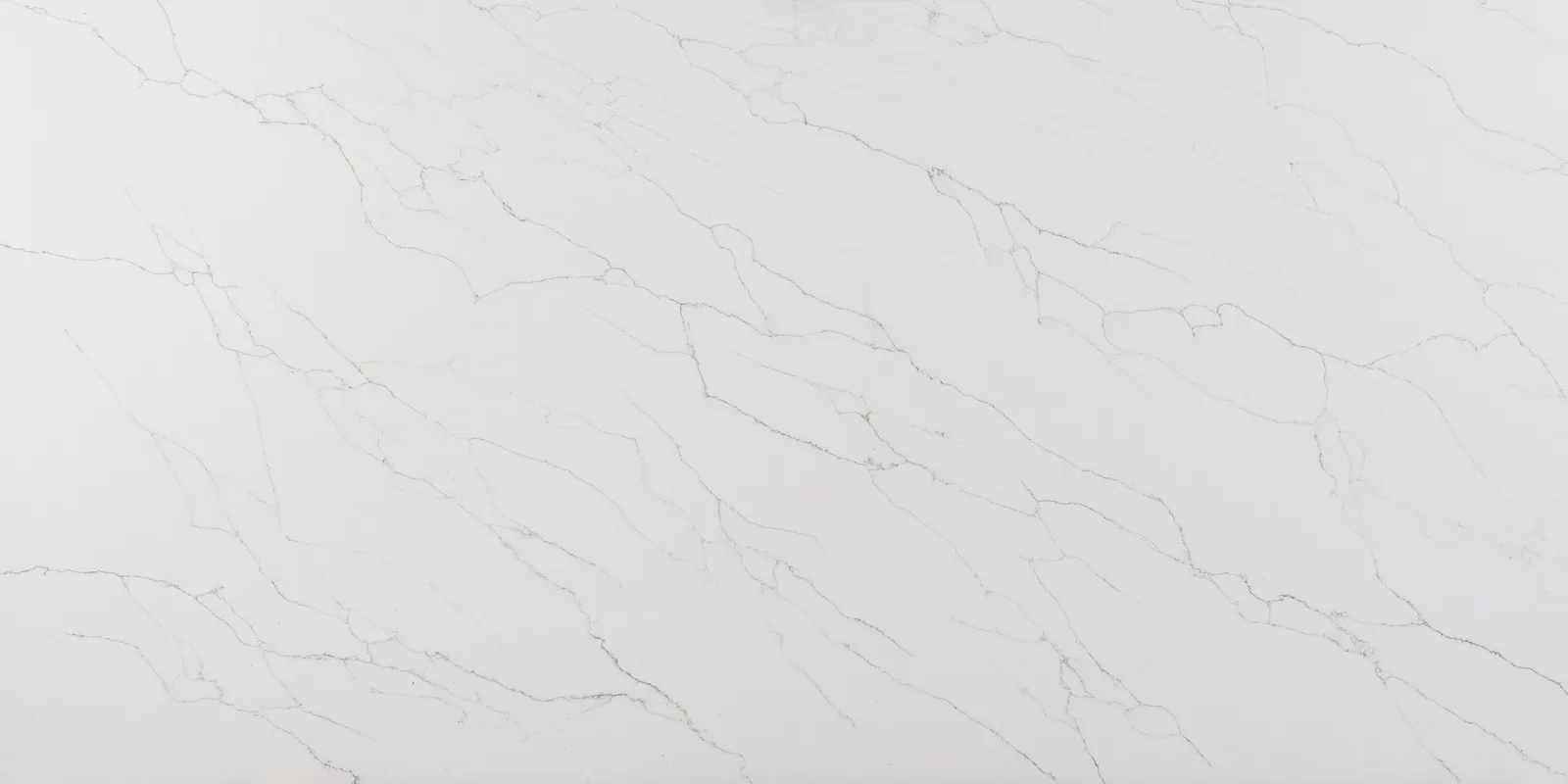 Bella Calacatta Quartz Countertop