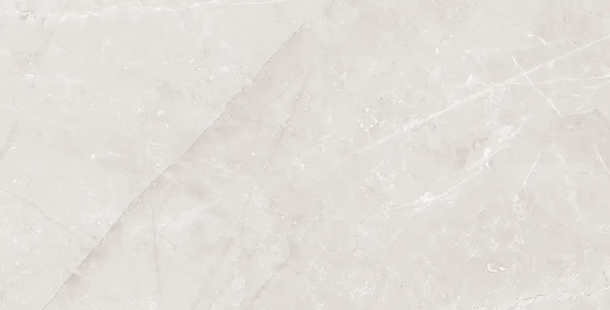 Etienne Light Gray porcelain tile 12x24 polished finish