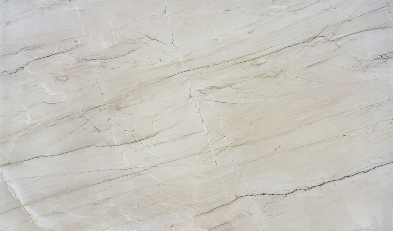 Daltile Natural Quartzite - Natural Stone Slab Bianco Superiori