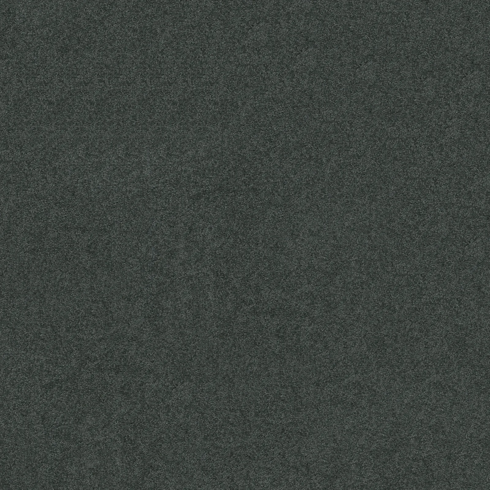 Origins Broadloom Carpet in Natural color, 100% Nylon, 12ft width, luxurious texture for residential use.
