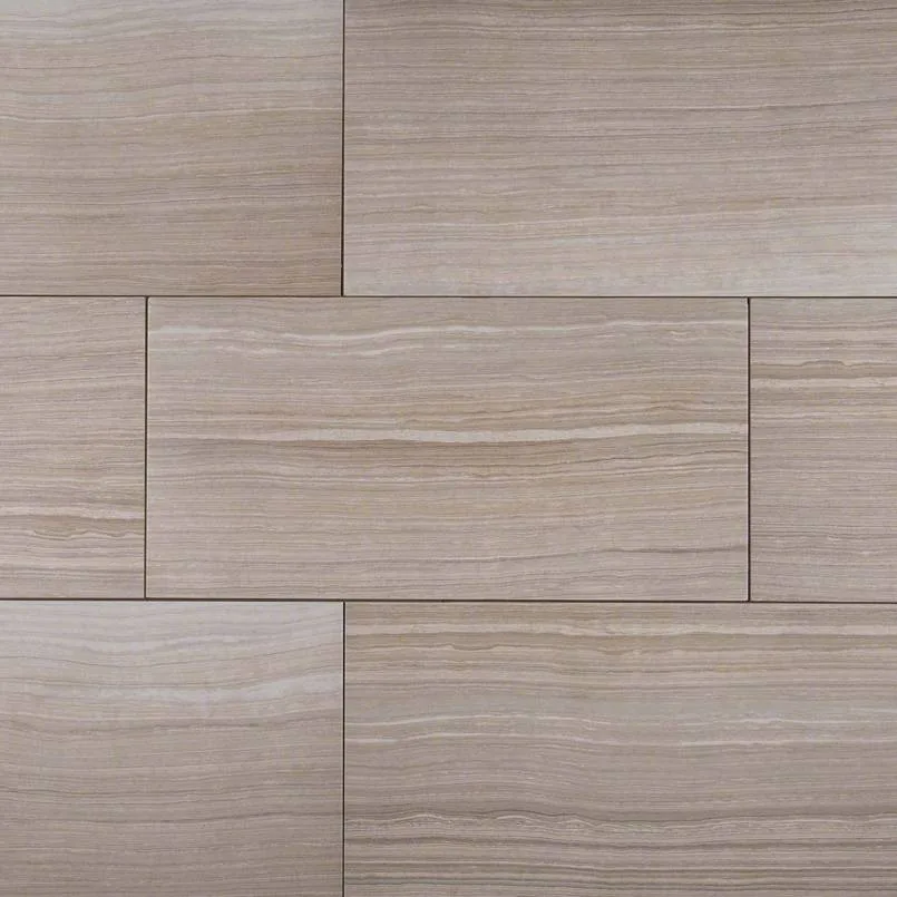 Eramosa Silver porcelain tile 12x24 matte finish light gray color