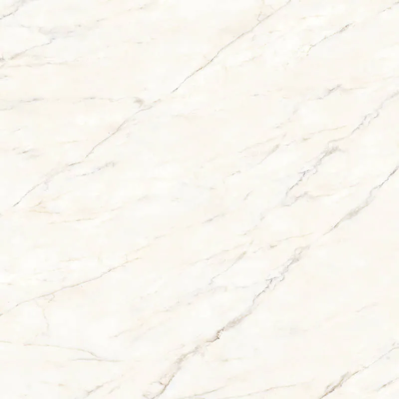 Calacatta Oro porcelain tile in polished finish, 24x48 size, showcasing elegant veining and natural stone appearance