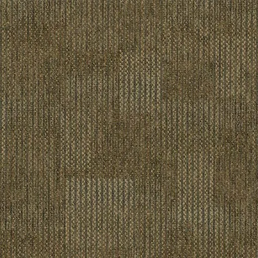 Revolution 7044T