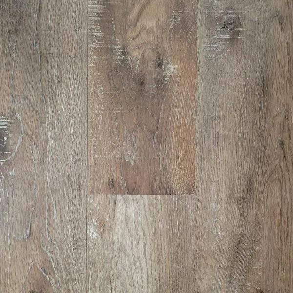 Scarlet Oak