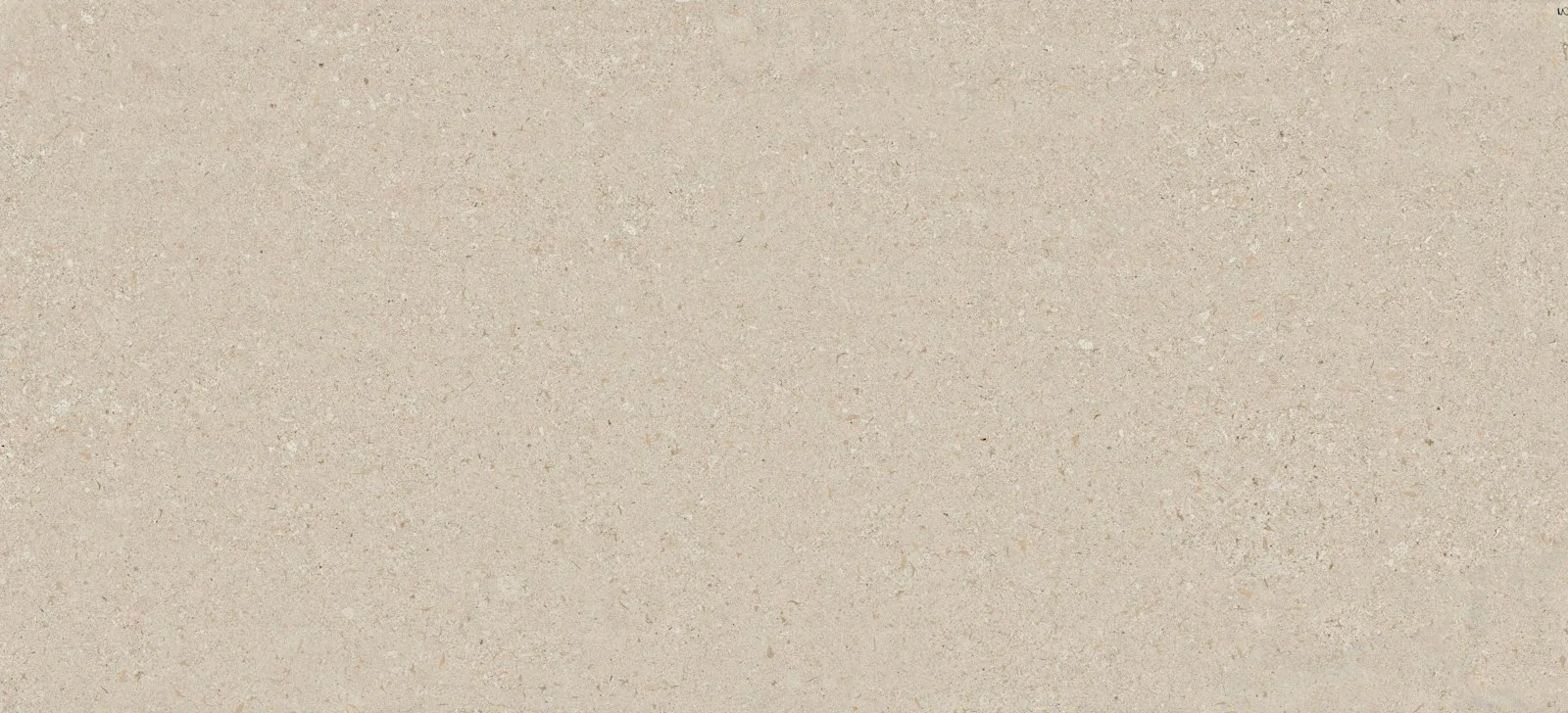 Avorio