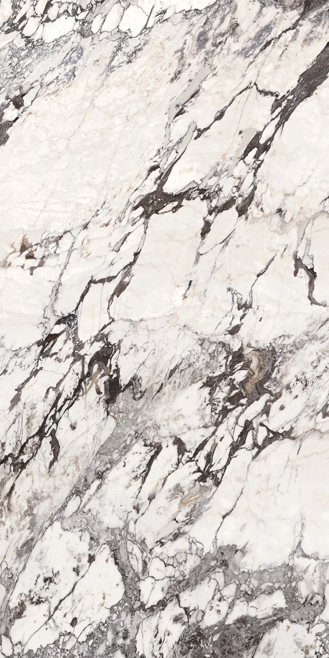 Daltile Elemental Selection Calacatta Aries