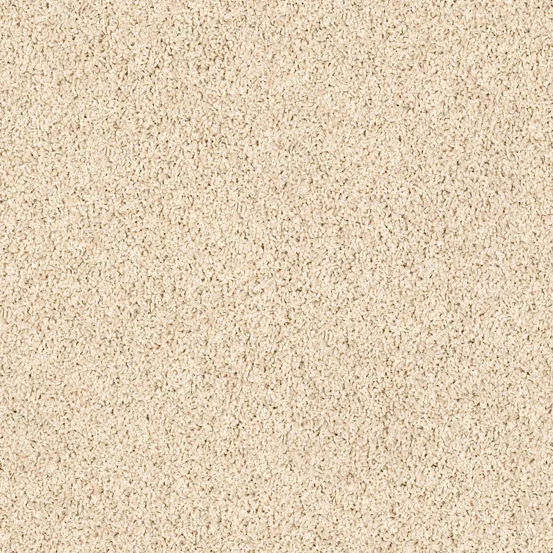 Value Texture XV854 broadloom carpet in Virtual Taupe color, 100% Nylon, 12ft width, 150ft roll length.