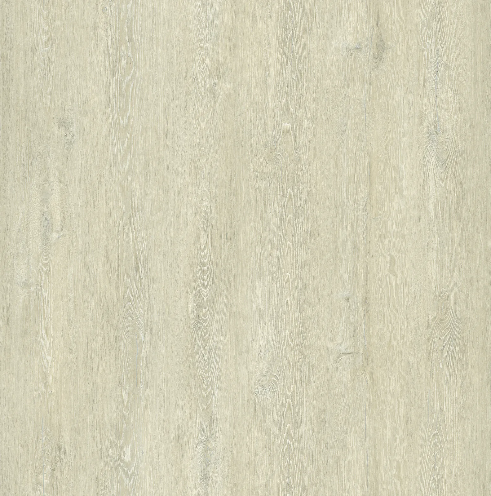 Frosted Ash