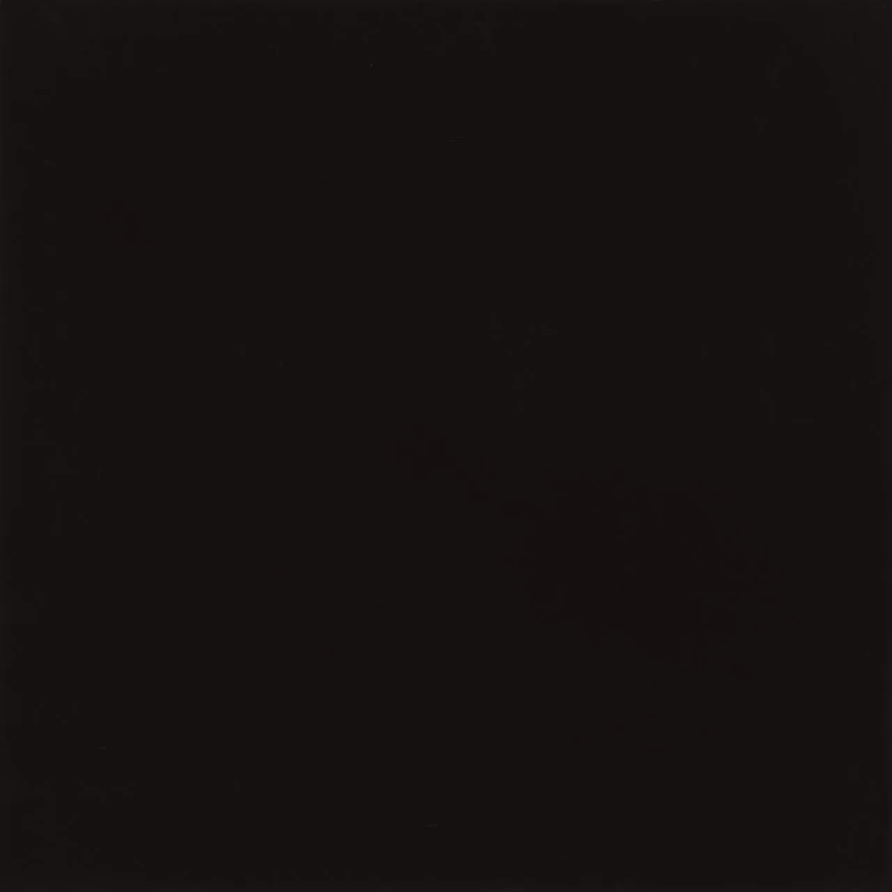 Daltile Pure Black