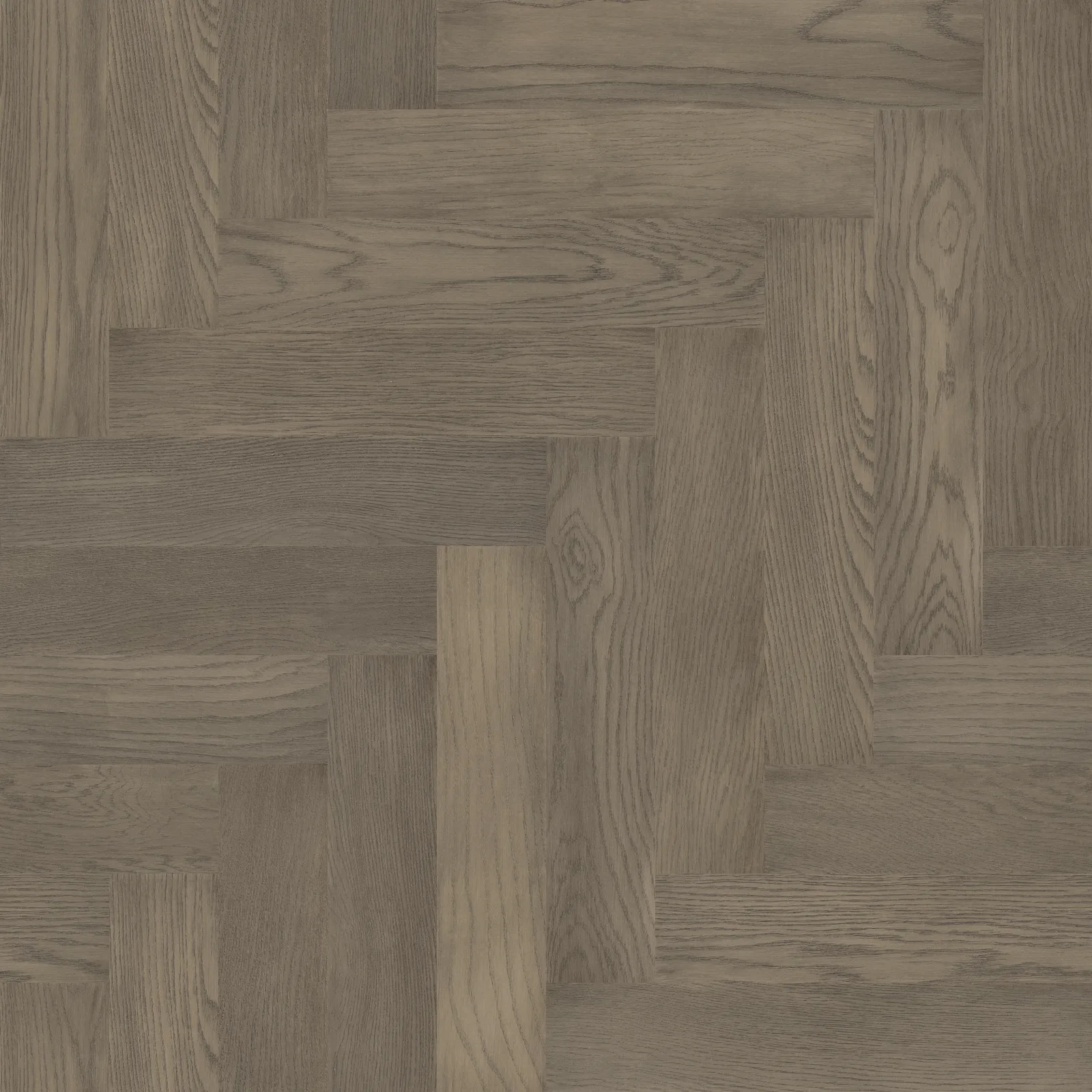 Fifth Avenue Oak