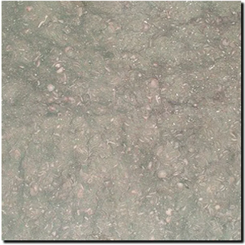 Seagrass Limestone