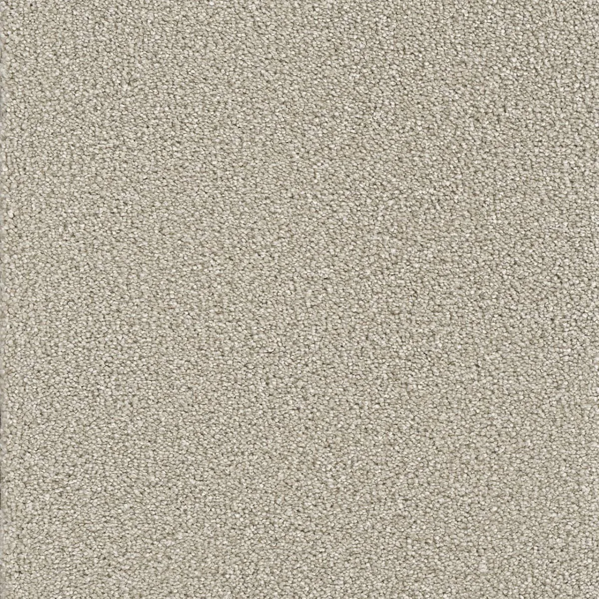 Montauk 2560 Broadloom Carpet in Morning Dove color, woven polypropylene material, 12ft wide