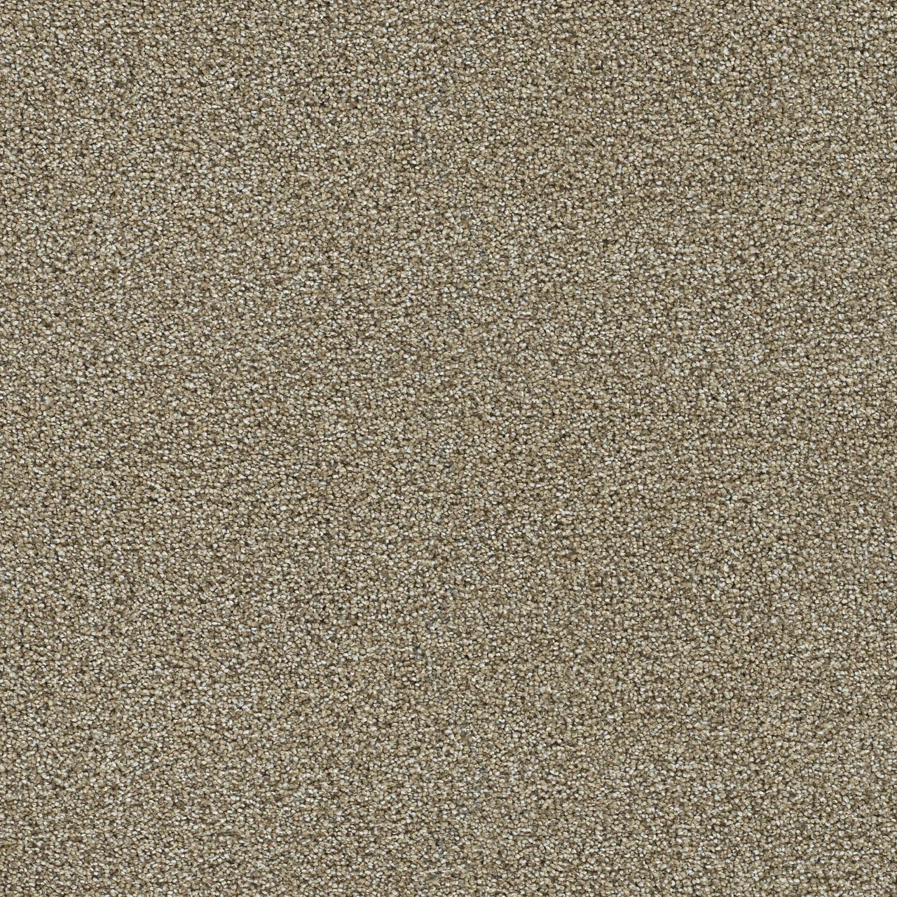 Clearwater I 1345 broadloom carpet in Chilly Night color, woven polypropylene material, 12ft wide