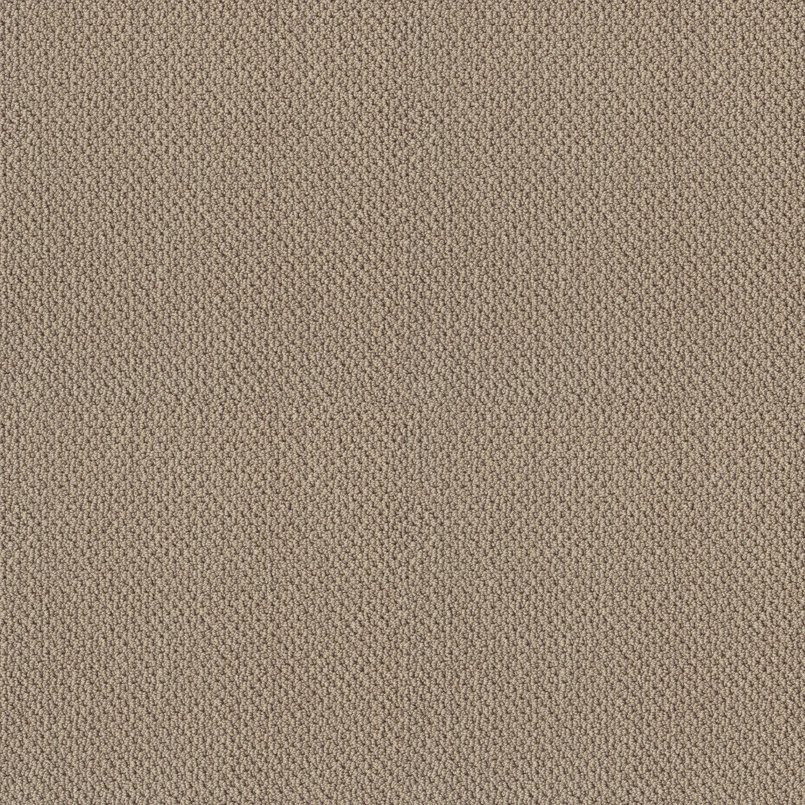 Artist View Loop EA566