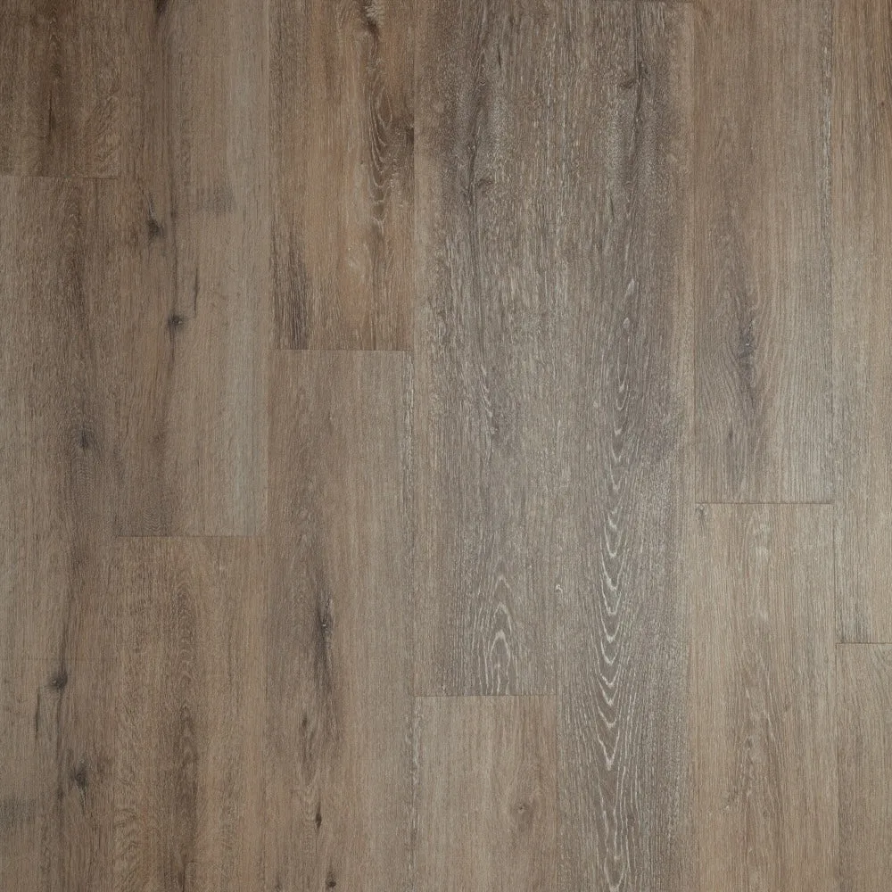 Brumous Oak