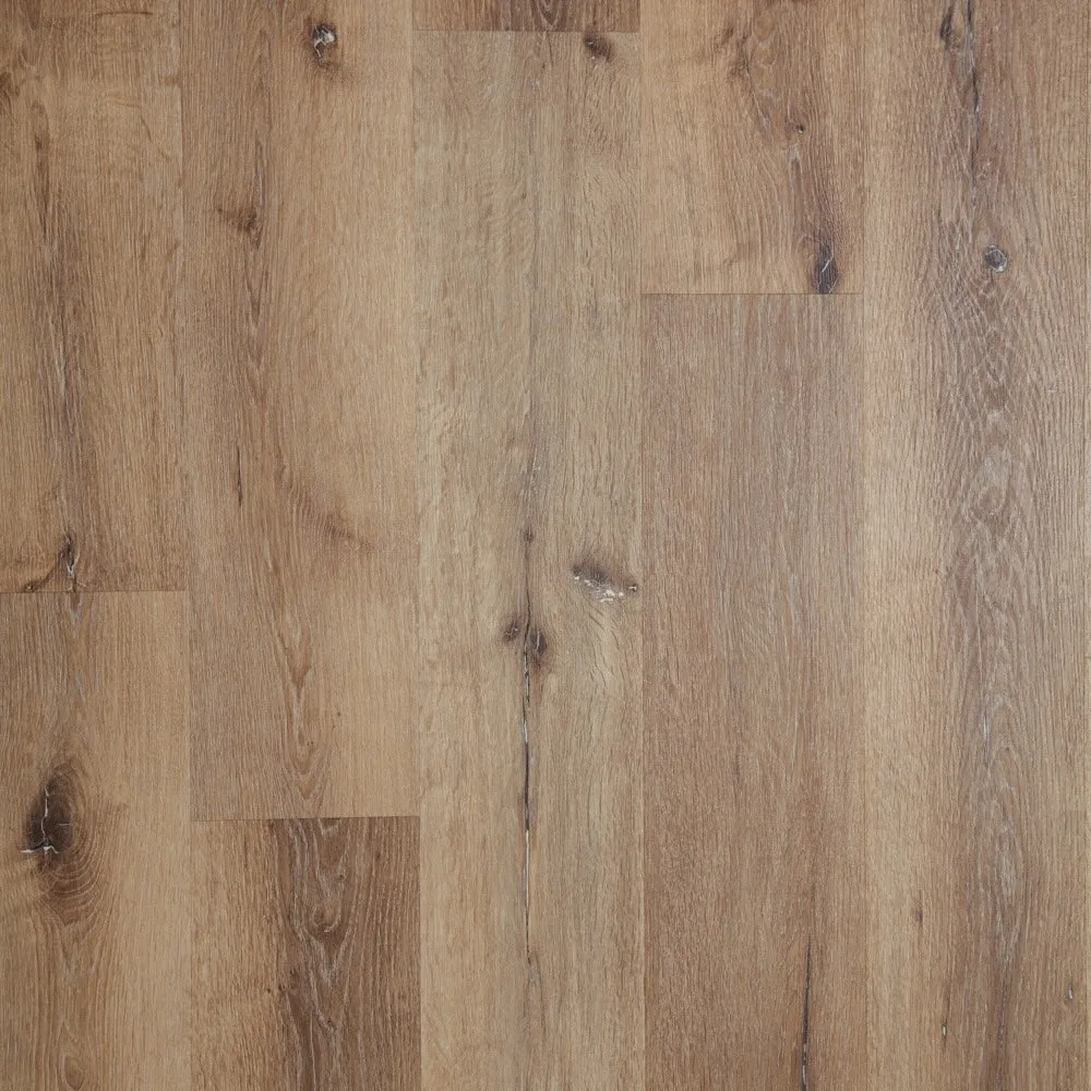 English Oak