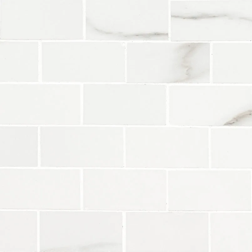 Aria Bianco 2x4 Mosaic