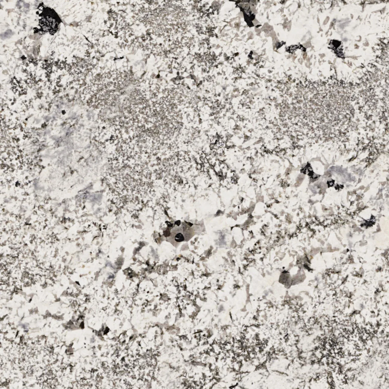 Daltile Granite - Natural Stone Slab Rigel White