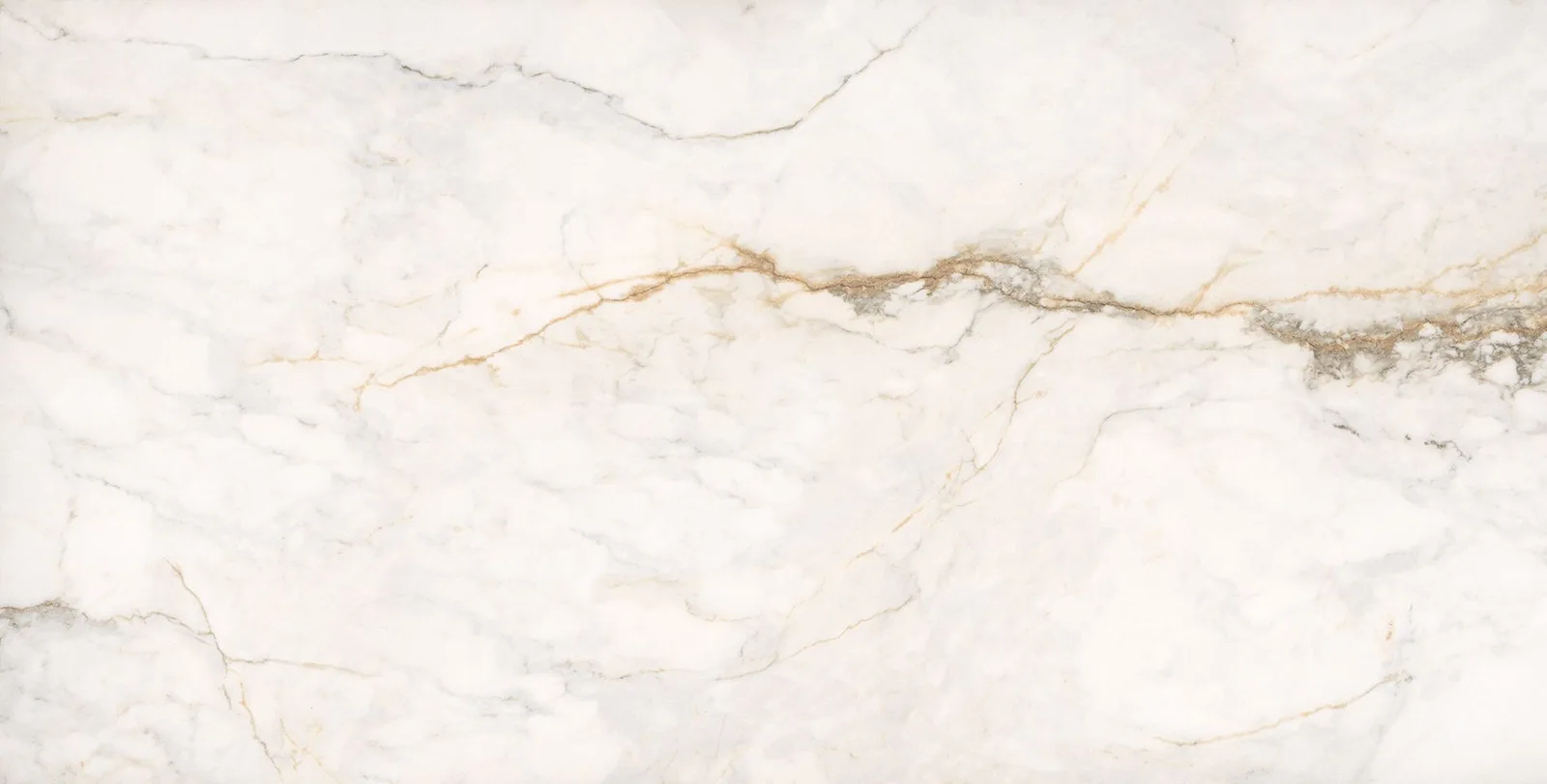 Calacatta Gold Venato