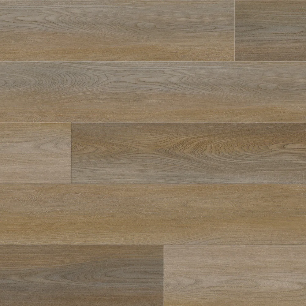 Attraxion San Marcos Oak