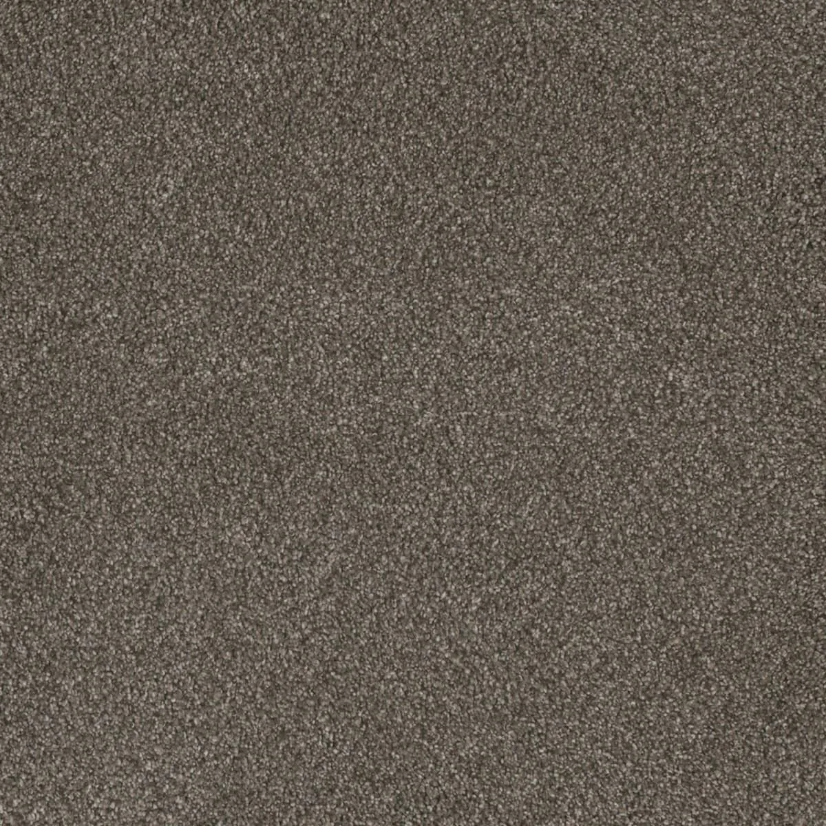 Monte Carlo III 8200 Broadloom Carpet in Jadestone color, woven polypropylene material, 12ft wide