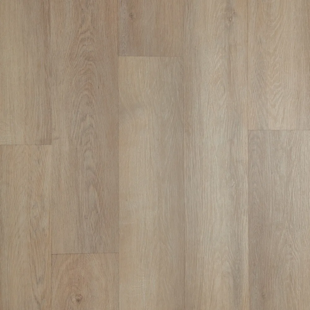 Sun Washed Oak