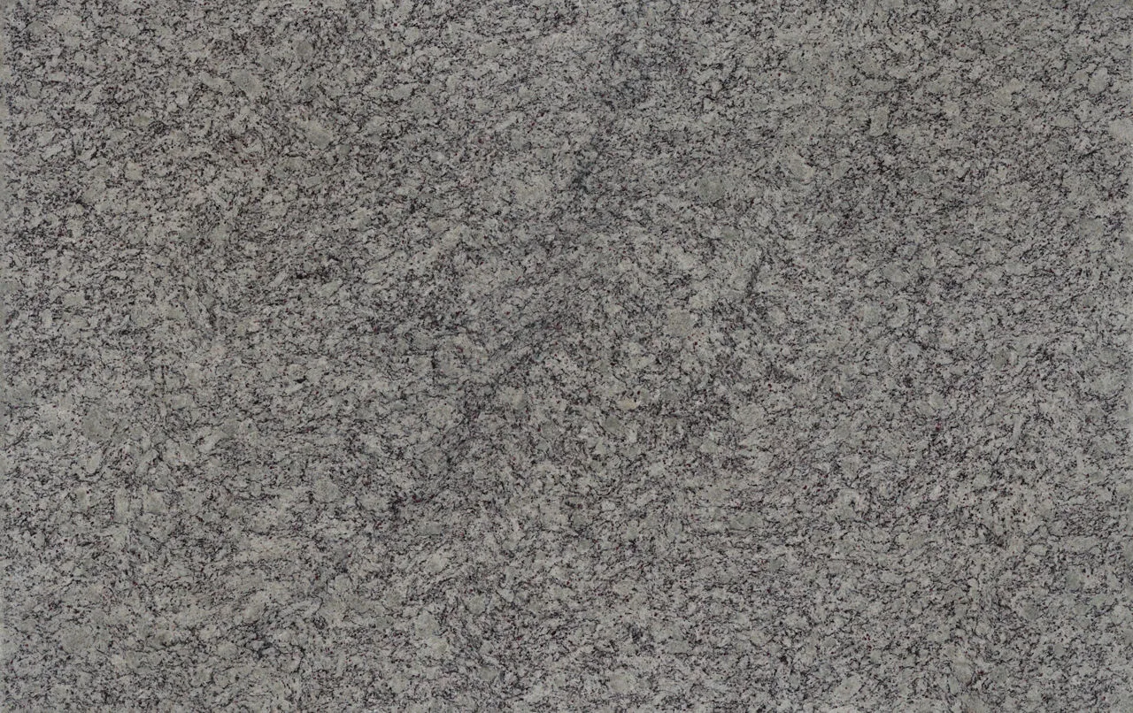 Daltile Granite - Natural Stone Slab Ashen White