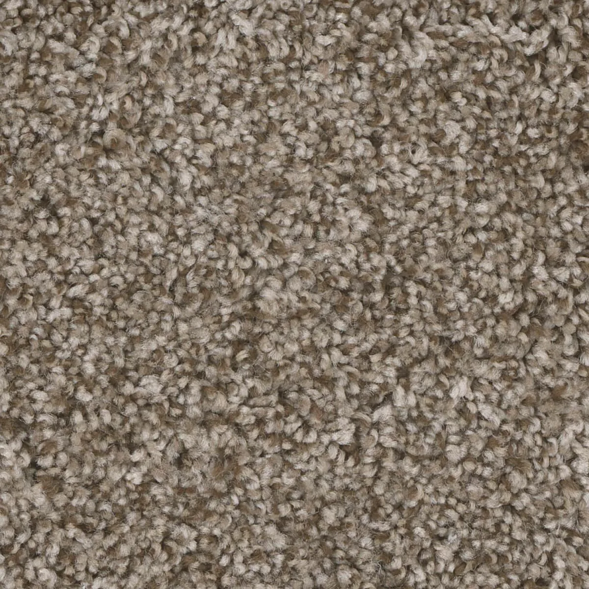 Jackson Hole I 7543 broadloom carpet in Cedar Way color, woven polypropylene material, 12ft wide, textured finish