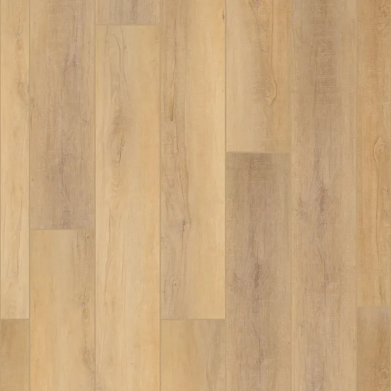 COREtec Pro Plus Enhanced HD 9" planks in various colors including Cheshire Elm and Ravenswood Oak, SPC material, perfect for residential use.